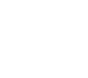 Patriot Alliance